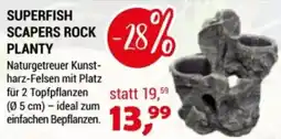 Zookauf Superfish scapers rock planty Angebot
