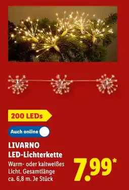 Lidl LIVARNO LED-Lichterkette Angebot
