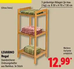 Lidl LIVARNO Regal Angebot