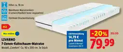Lidl LIVARNO 7-Zonen-Kaltschaum-Matratze Angebot