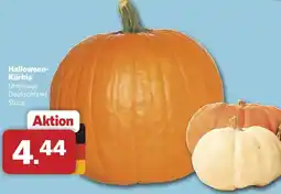 Combi Halloween-Kürbis Angebot