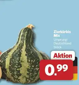 Combi Zierkürbis Mix Angebot