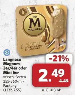 Combi Langnese Magnum Angebot