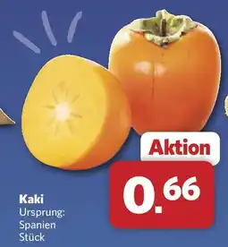 Combi Kaki Angebot