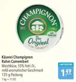 CITTI Markt Käserei Champignon Rahm Camembert Angebot