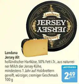 CITTI Markt Landana Jersey Alt Angebot