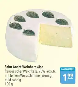 CITTI Markt Saint André Weinbergkäse Angebot