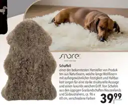 CITTI Markt Schaffell Angebot