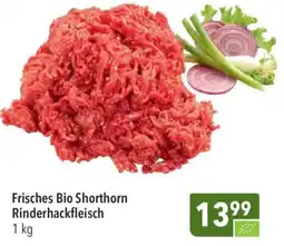 CITTI Markt Frisches Bio Shorthorn Rinderhackfleisch Angebot