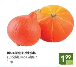 CITTI Markt Bio Kürbis Hokkaido Angebot