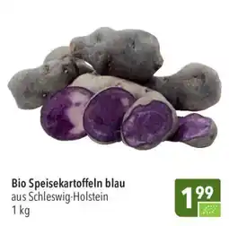 CITTI Markt Bio Speisekartoffeln blau Angebot