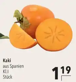 CITTI Markt Kaki Angebot