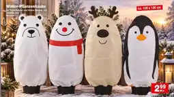 Krümet Sonderposten Winter-Pflanzenhaube Angebot