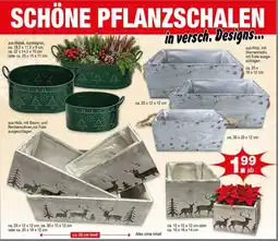 Krümet Sonderposten Schöne pflanzschalen Angebot