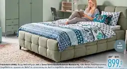 Trends Möbel Polsterbett LOVINA Angebot