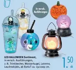 Trends Möbel LED HALLOWEEN Sortiment Angebot