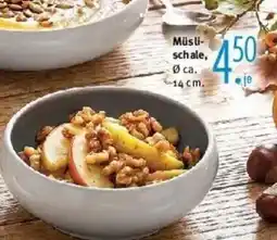 Trends Möbel Müsli-schale Angebot