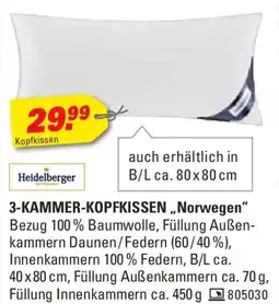 Höffner Heidelberger 3-KAMMER-KOPFKISSEN „Norwegen“ Angebot