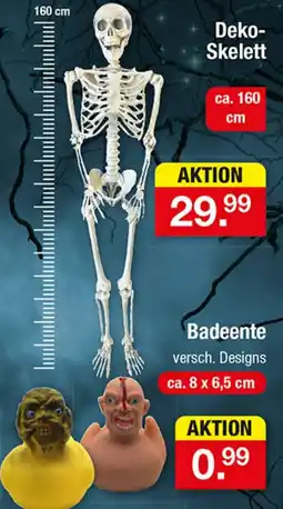 Zimmermann Deko-Skelett Angebot