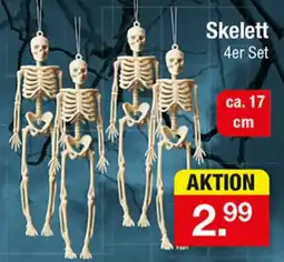 Zimmermann Skelett 4er Set Angebot
