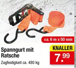 Zimmermann Spanngurt mit Ratsche Angebot