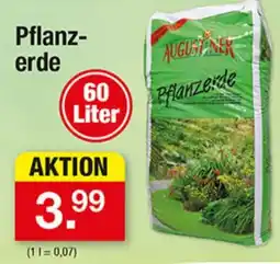 Zimmermann Augustner Pflanzerde Angebot