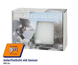 Action Solarflutlicht mit Sensor Angebot