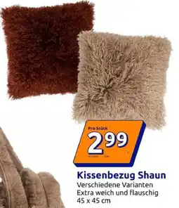 Action Kissenbezug Shaun Angebot