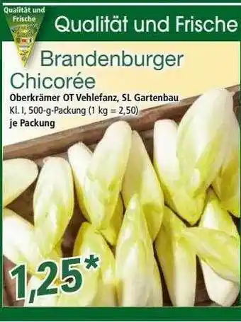 Norma Bandenburger Chicorée Angebot