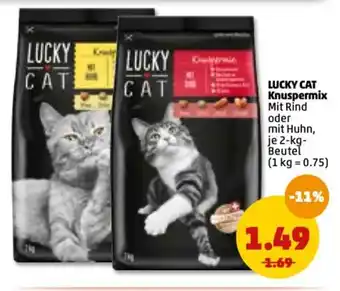 PENNY Lucky Cat Knuspermix 2kg Beutel Angebot