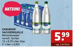 Getränke Quelle ILEBURGER SACHSENQUELLE Mineralwasser Angebot