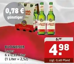 Getränke Quelle BUDWEISER Lager Angebot