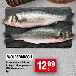 Handelshof Wolfsbarsch Angebot