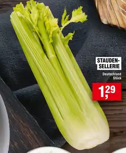 Handelshof STAUDEN-SELLERIE Angebot