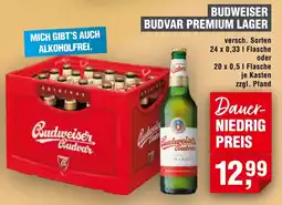 Handelshof Budweiser Budvar Premium Lager Angebot