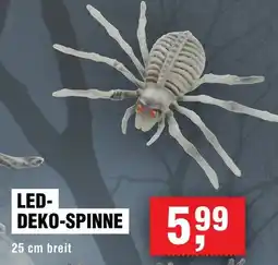 Handelshof Led deko-spinne Angebot