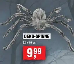 Handelshof Deko-spinne Angebot