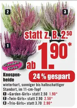 B1 Discount Baumarkt Knospenheide Garden Girls Angebot