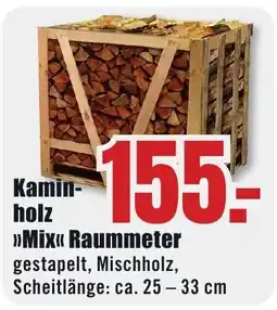 B1 Discount Baumarkt Kaminholz »Mix« Angebot
