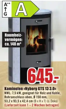 B1 Discount Baumarkt Kaminofen »Nyborg GTS 13 3.0« Angebot