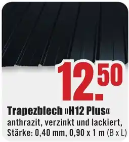 B1 Discount Baumarkt Trapezblech »H12 Plus« Angebot
