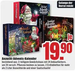 B1 Discount Baumarkt Saatgut Advents-Kalender Angebot
