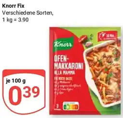 Globus Knorr Fix Angebot
