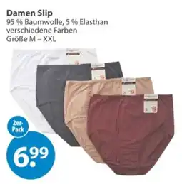 V Markt Damen Slip Angebot