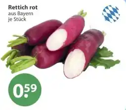 V Markt Rettich rot aus Bayern Angebot