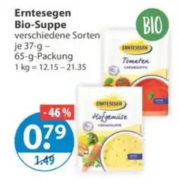 V Markt Erntesegen Bio-Suppe Angebot