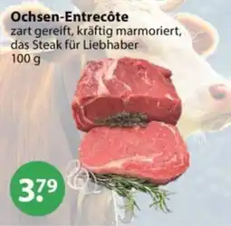 V Markt Ochsen-Entrecôte Angebot