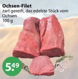 V Markt Ochsen-Filet Angebot