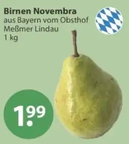 V Markt Birnen Novembra Angebot