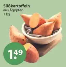 V Markt Süßkartoffeln aus Ägypten Angebot